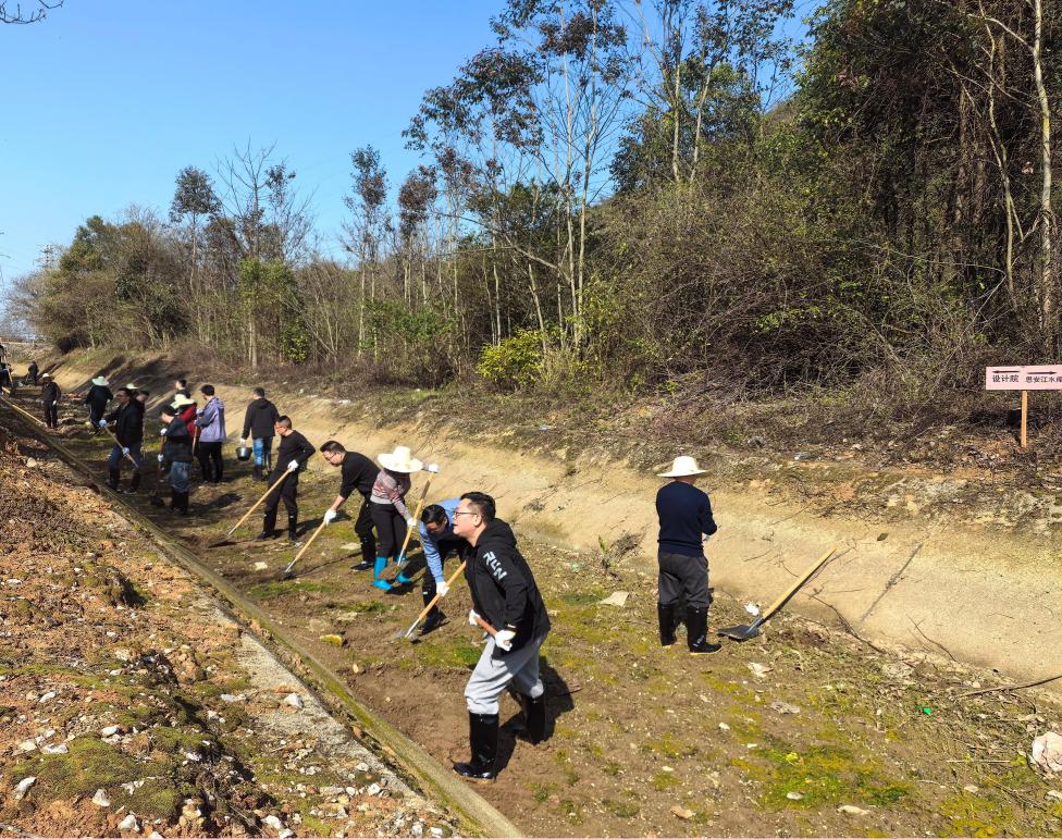 <strong>兴修水利掀热潮，干部职工显担当—我院</strong>